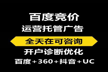 百度竞价推广的技巧与策略：某企业成功案例分享